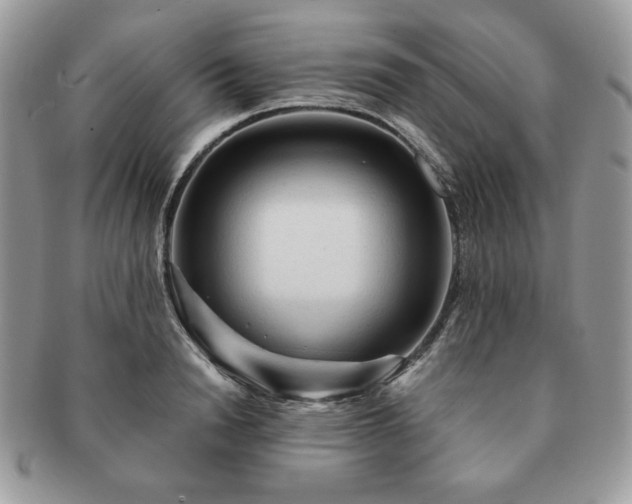 X0000091190846200708161549