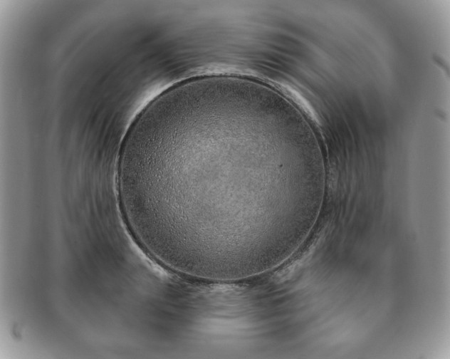 X0000091190847200708161549