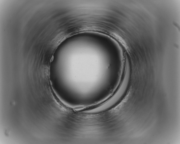 X0000091190849200708161549