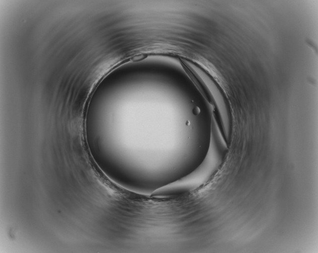 X0000091190850200708161549