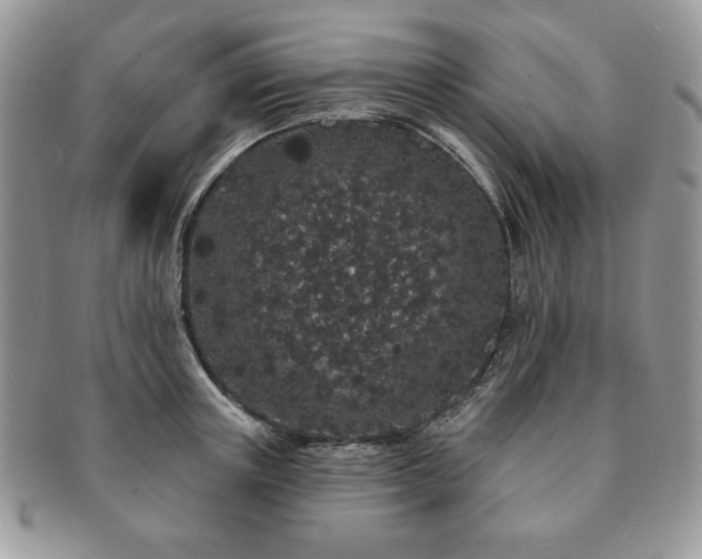 X0000091190851200708161549