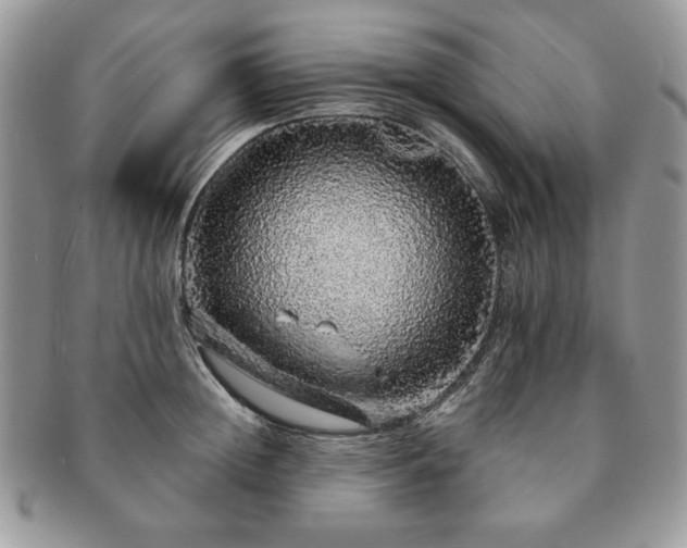 X0000091190852200708161549