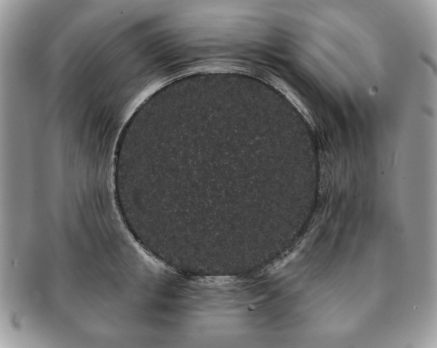 X0000091190853200708161549