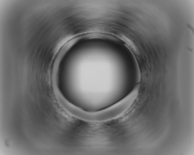 X0000091190854200708161549