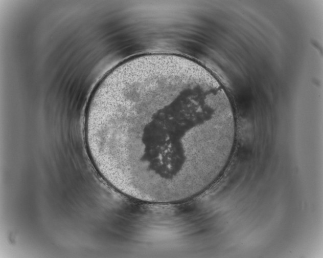 X0000091190856200708161549