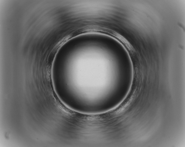 X0000091190857200708161549