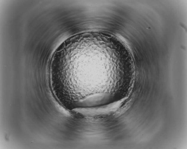 X0000091190859200708161549