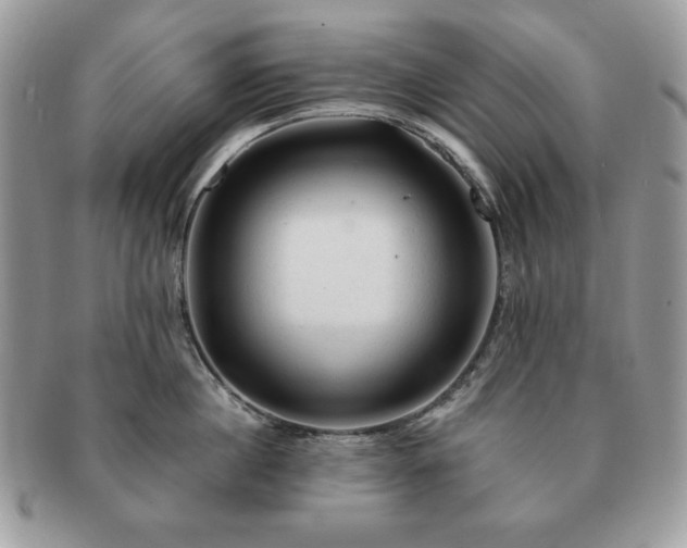 X0000091190860200708161549