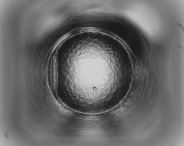 X0000091190861200708161549