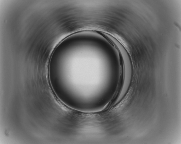 X0000091190862200708161549