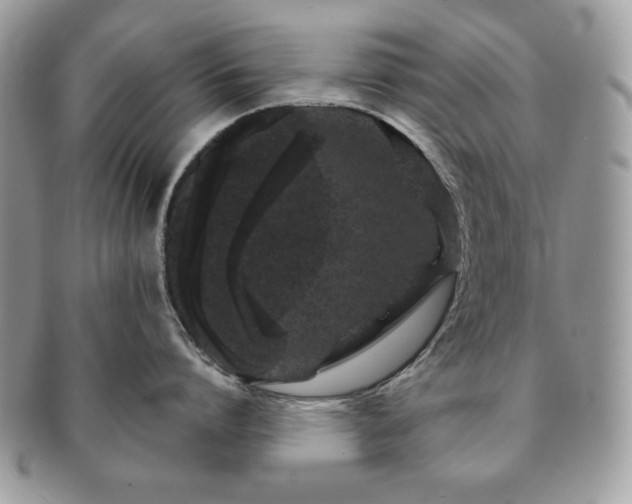 X0000091190864200708161549