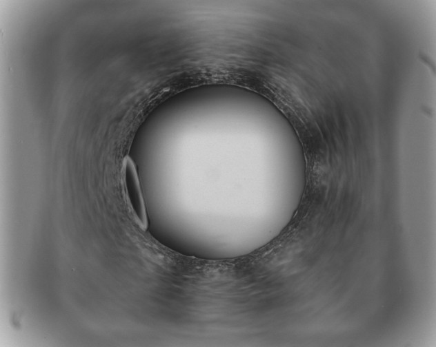 X0000091190865200708161548