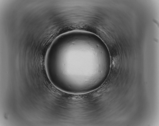 X0000091190867200708161548