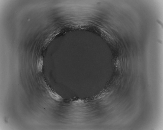 X0000091190868200708161548