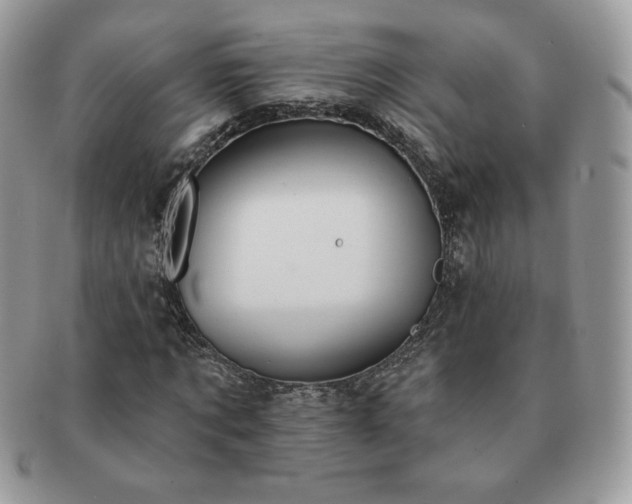 X0000091190869200708161548