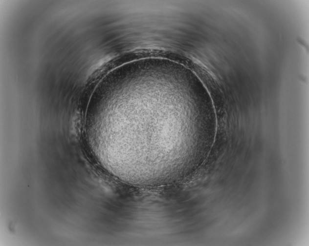 X0000091190870200708161548