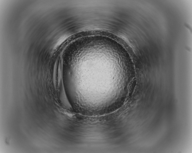 X0000091190871200708161548