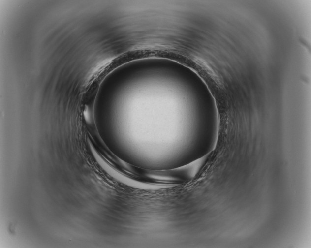 X0000091190872200708161548