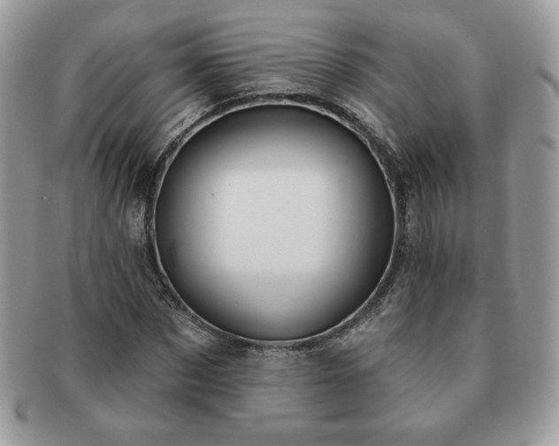 X0000091190873200708161548