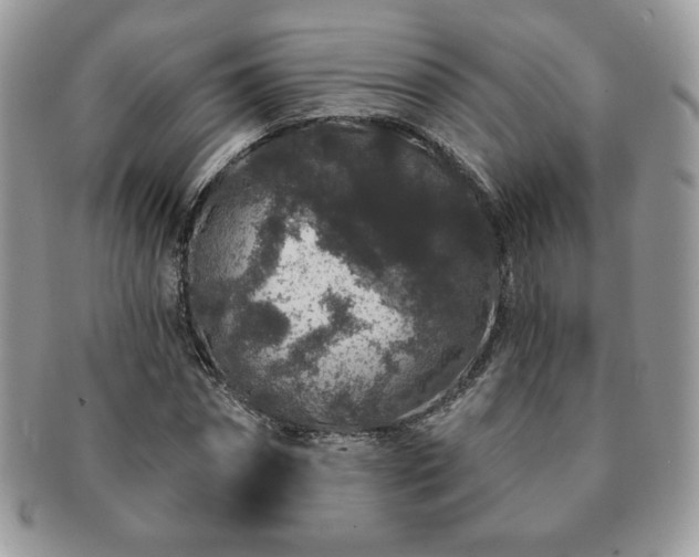 X0000091190874200708161548