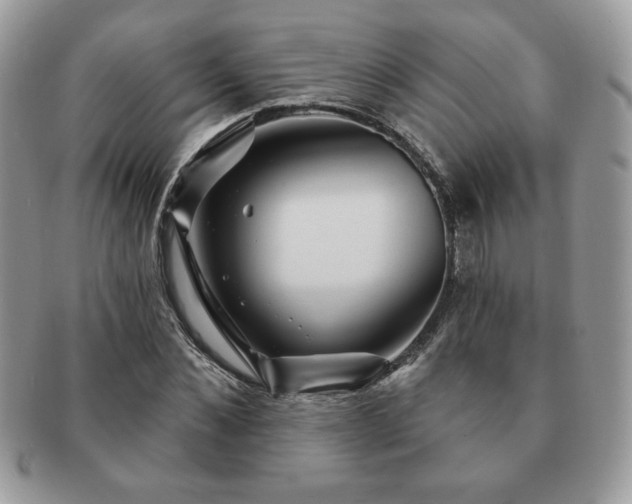 X0000091190876200708161548