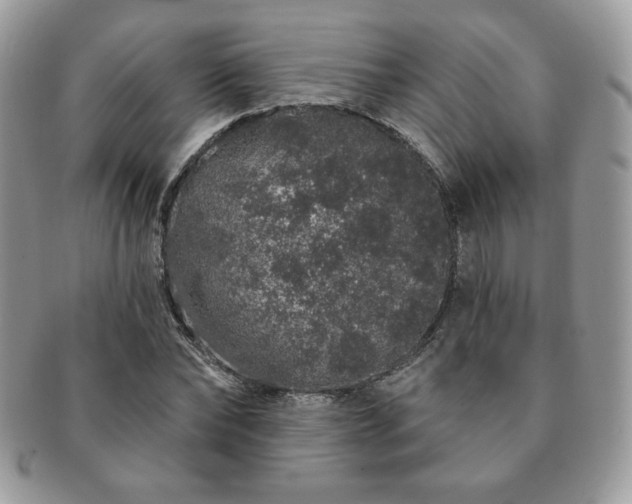 X0000091190878200708161548