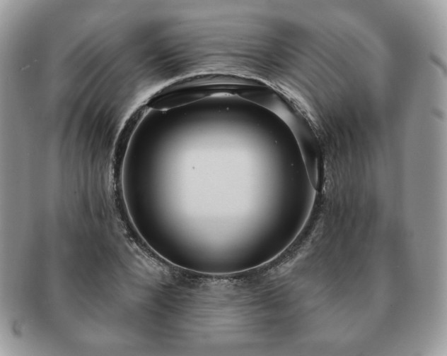 X0000091190880200708161548