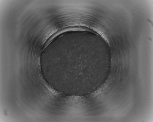 X0000091190881200708161548