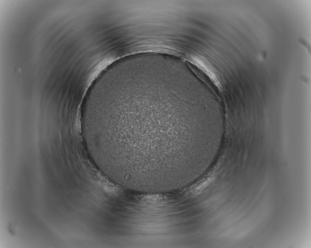 X0000091190883200708161548