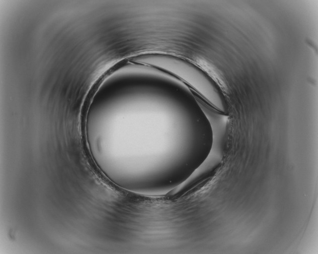 X0000091190884200708161548