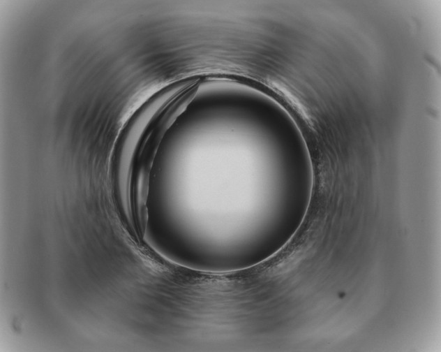 X0000091190885200708161548