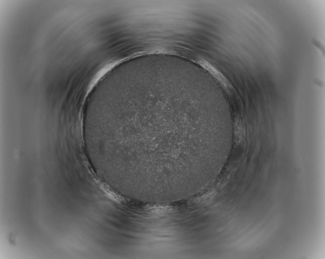 X0000091190886200708161548