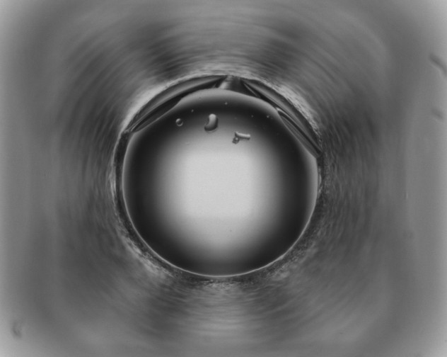 X0000091190888200708161548