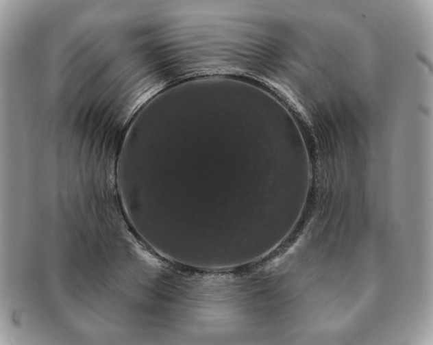 X0000091190889200708161548