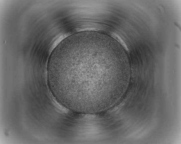 X0000091190890200708161548