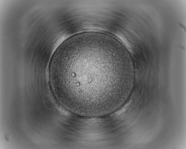 X0000091190891200708161548