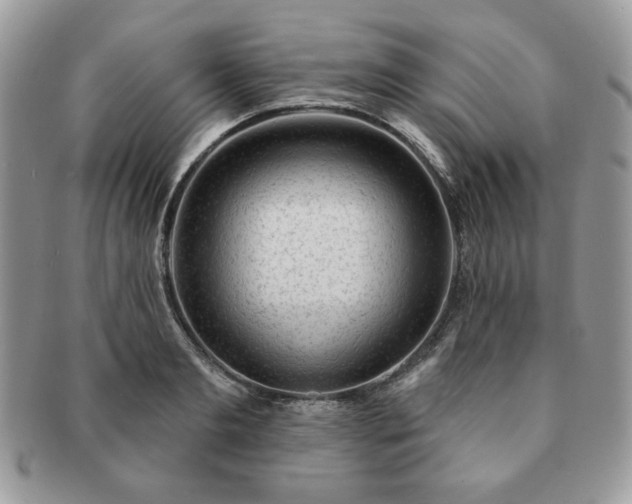 X0000091190893200708161548