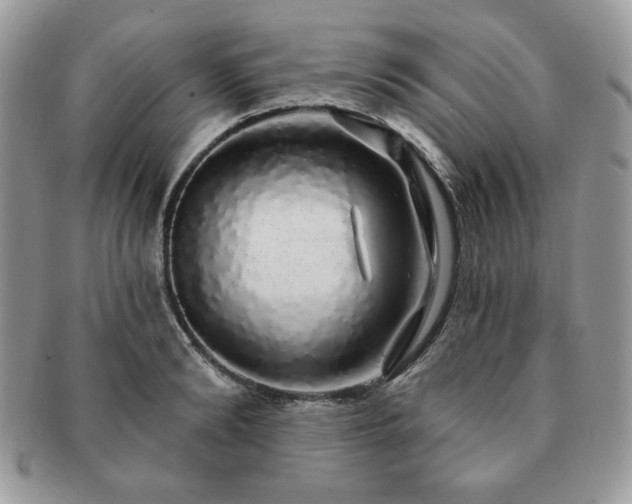 X0000091190894200708161548