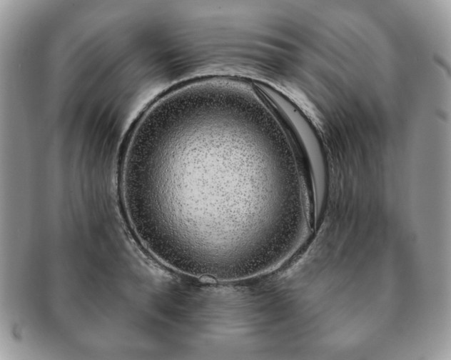 X0000091190896200708161548
