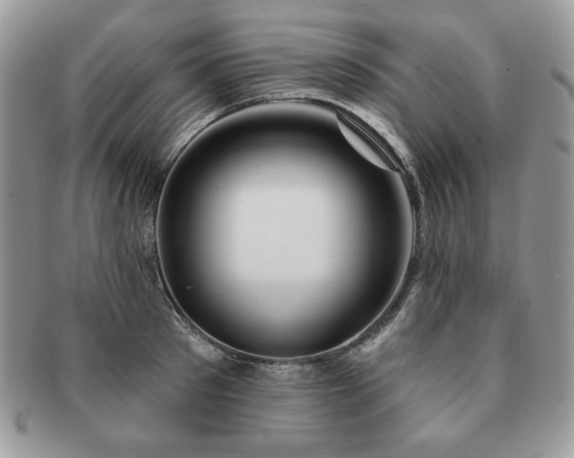 X0000091190897200708161548