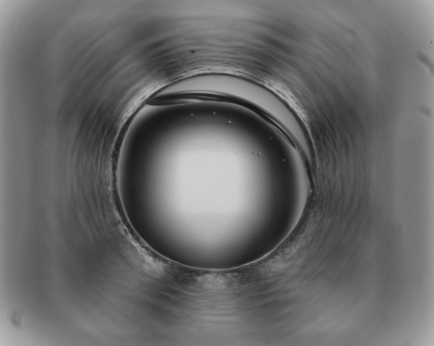 X0000091190898200708161548