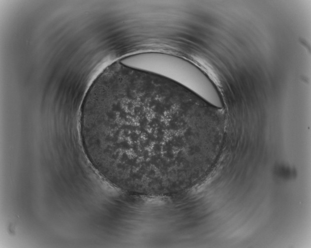 X0000091190899200708161548