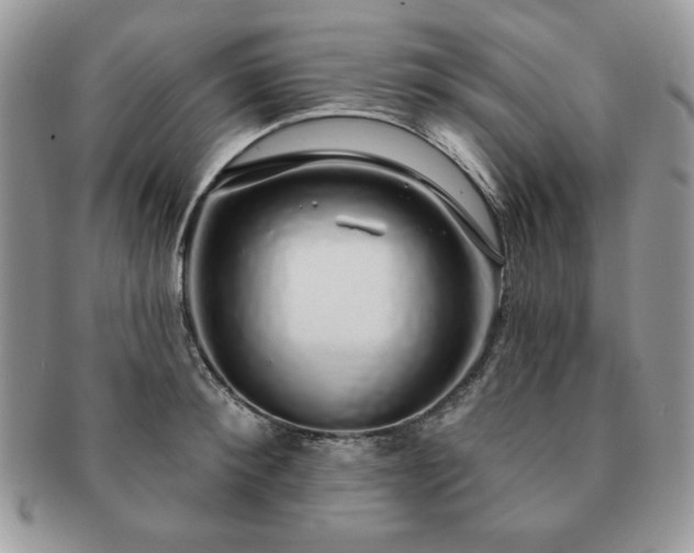 X0000091190900200708161548