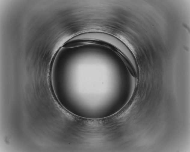 X0000091190901200708161548