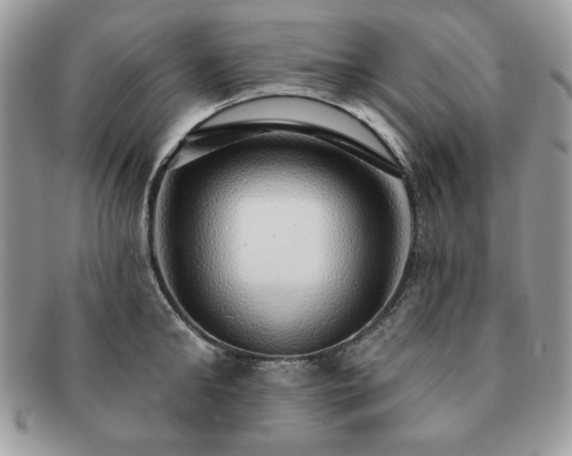 X0000091190902200708161548