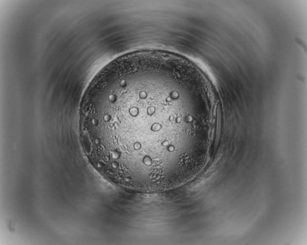 X0000091190903200708161548
