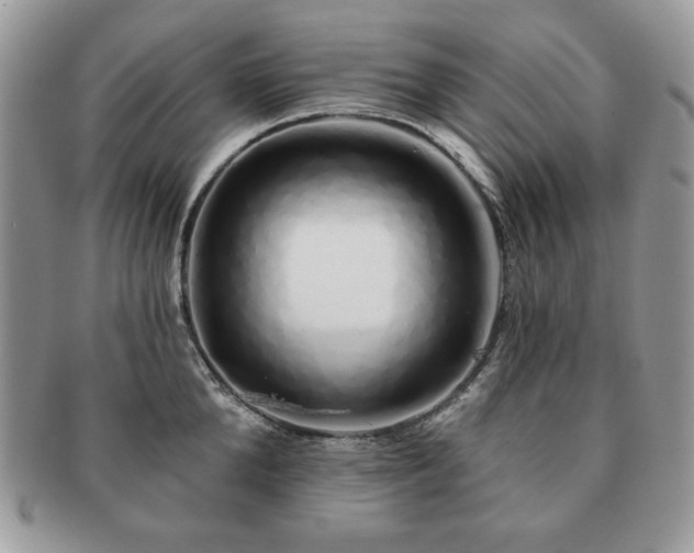 X0000091190904200708161548