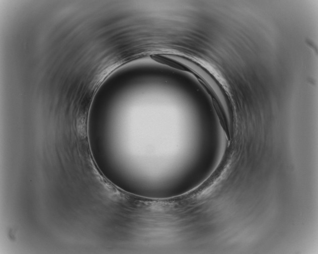 X0000091190905200708161548