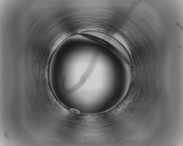 X0000091190906200708161548