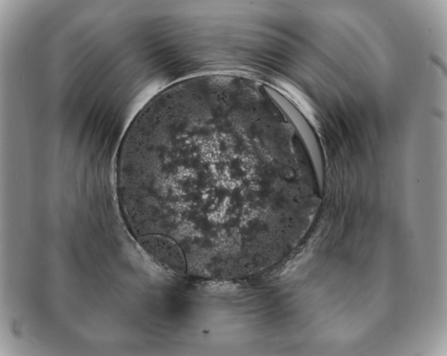 X0000091190907200708161548